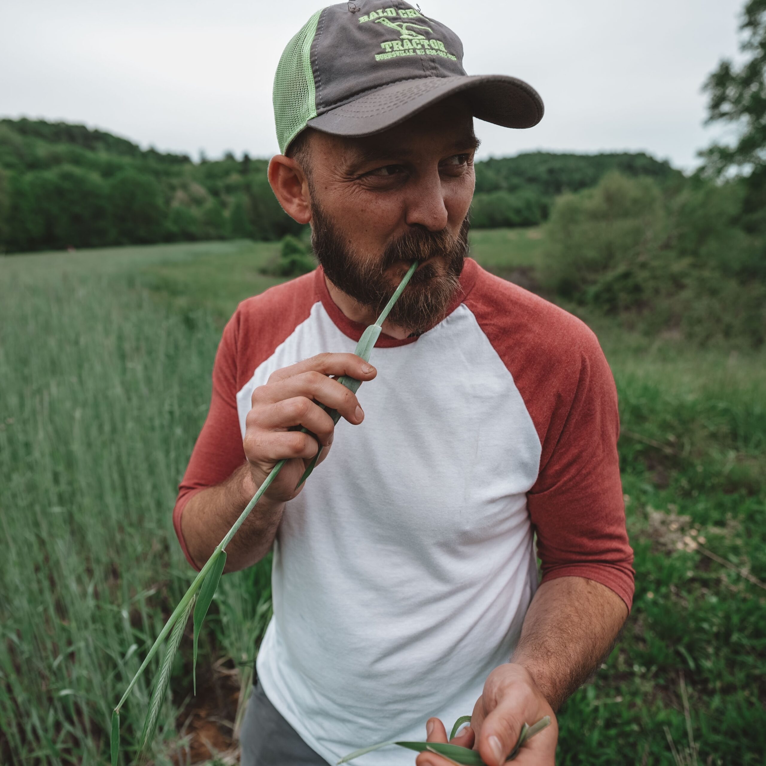 Dru Zucchino